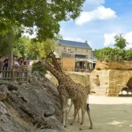 Maison 2-3 Pers Semi-troglodyte Angers-saumur Louresse-Rochemenier