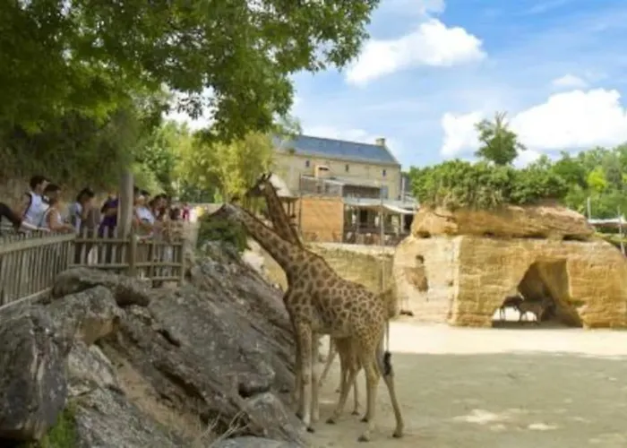 Maison 2-3 Pers Semi-troglodyte Angers-saumur Louresse-Rochemenier